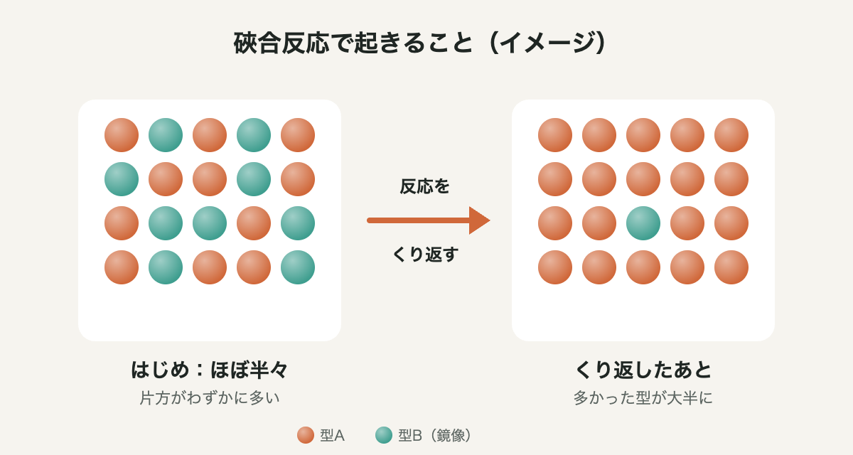 硤合反応のイメージ。はじめはほぼ半々で片方がわずかに多い状態から、反応をくり返すと多かった型が大半になる
