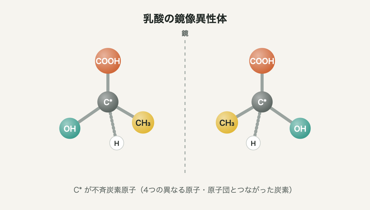 乳酸の鏡像異性体。中心の炭素が不斉炭素原子で、COOH、OH、CH3、Hの4つとつながっている